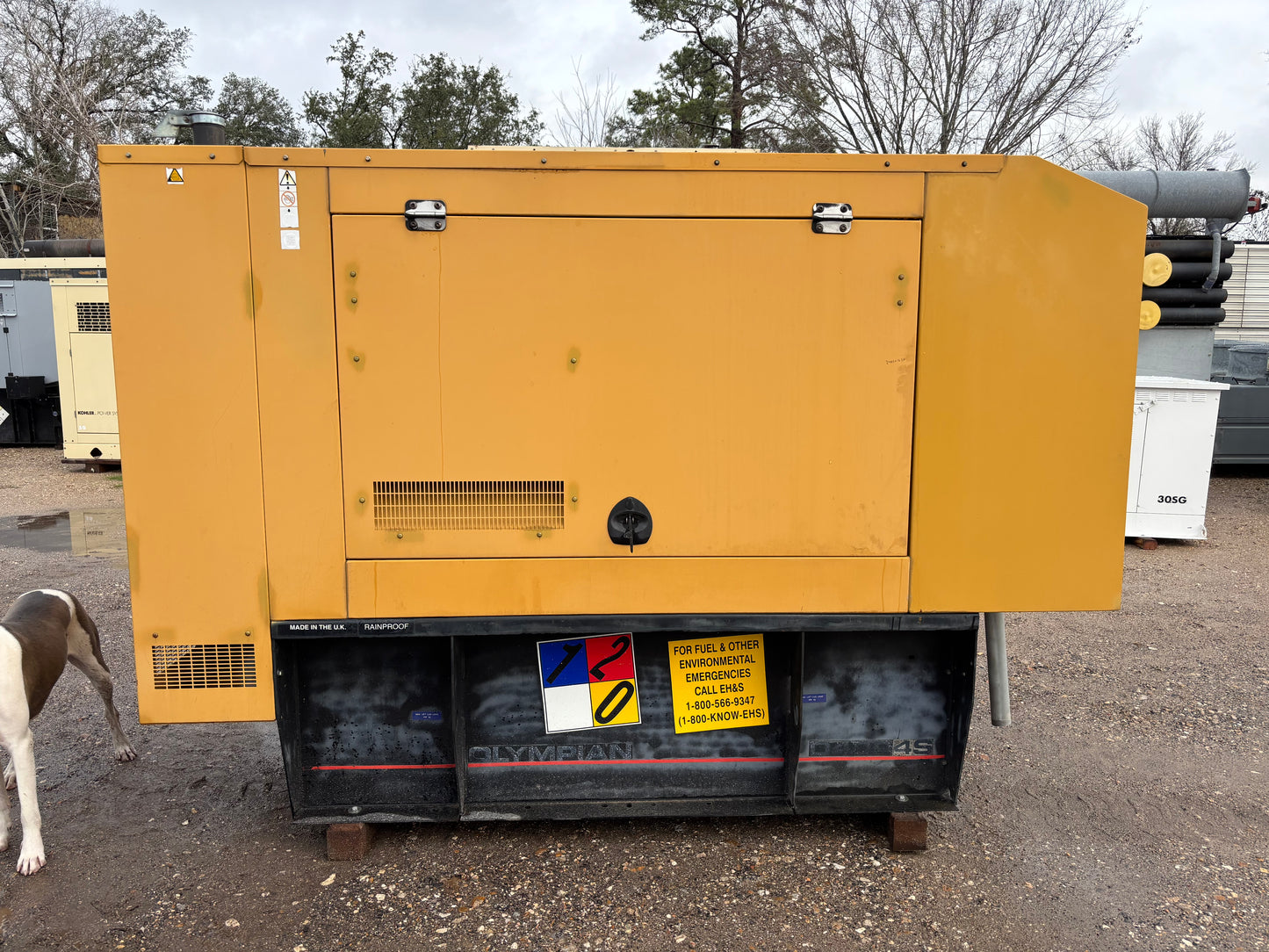 2006 Cat/Olympian 40kw Diesel Generator Set 427 Hours